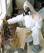  Moorestown NJ basement closet mold inspection and remediation correctly performed in 08057 commercial building