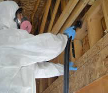 08836 basement bathroom mold remediation and inspection project in 08836 Somerset County