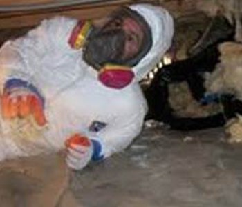 attic crawl Maplewood NJ 07040 space mold inspection and removal work site