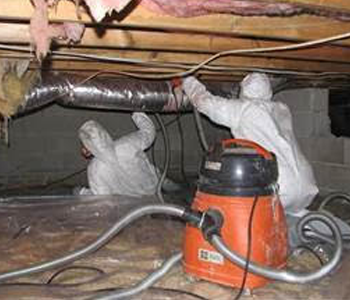 Mercer County crawl space ceiling black mold remediation and testing being performed inside 08691 home